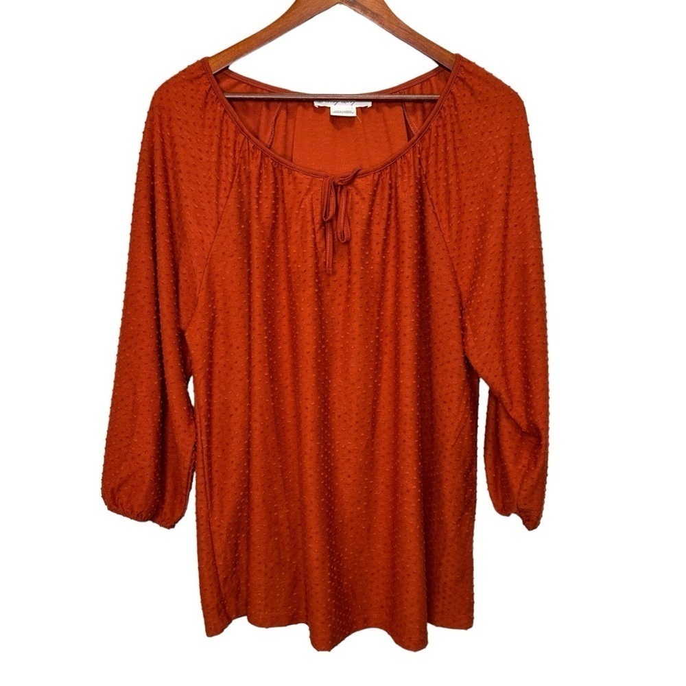 Pennington's In Every Story Scoop Neck 3/4 Sleeve Blouse Size 2x